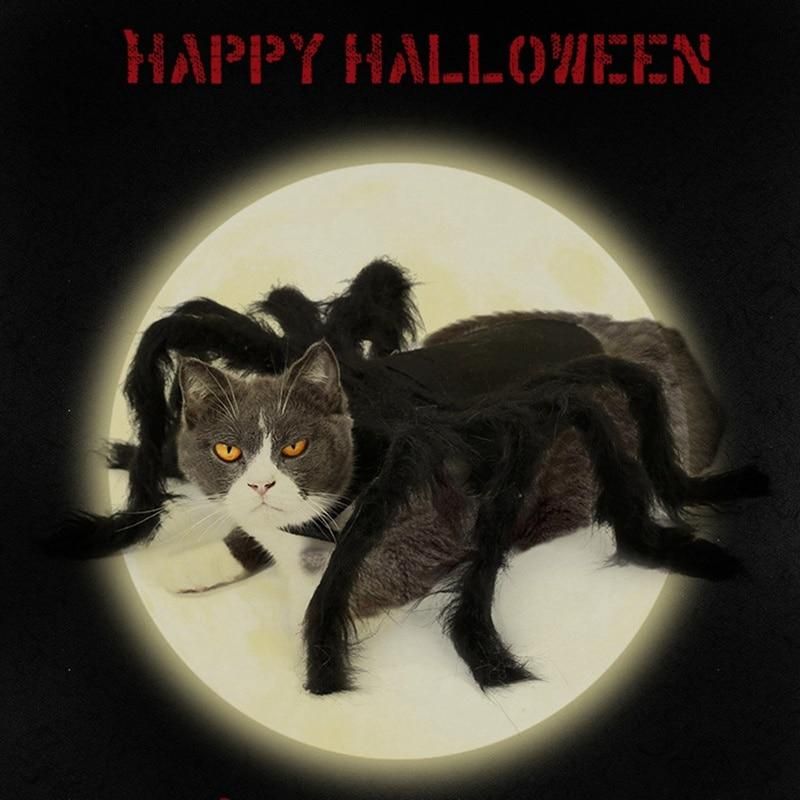 Hämähäkin Lemmikki Halloween-puku