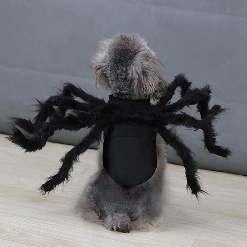 Hämähäkin Lemmikki Halloween-puku
