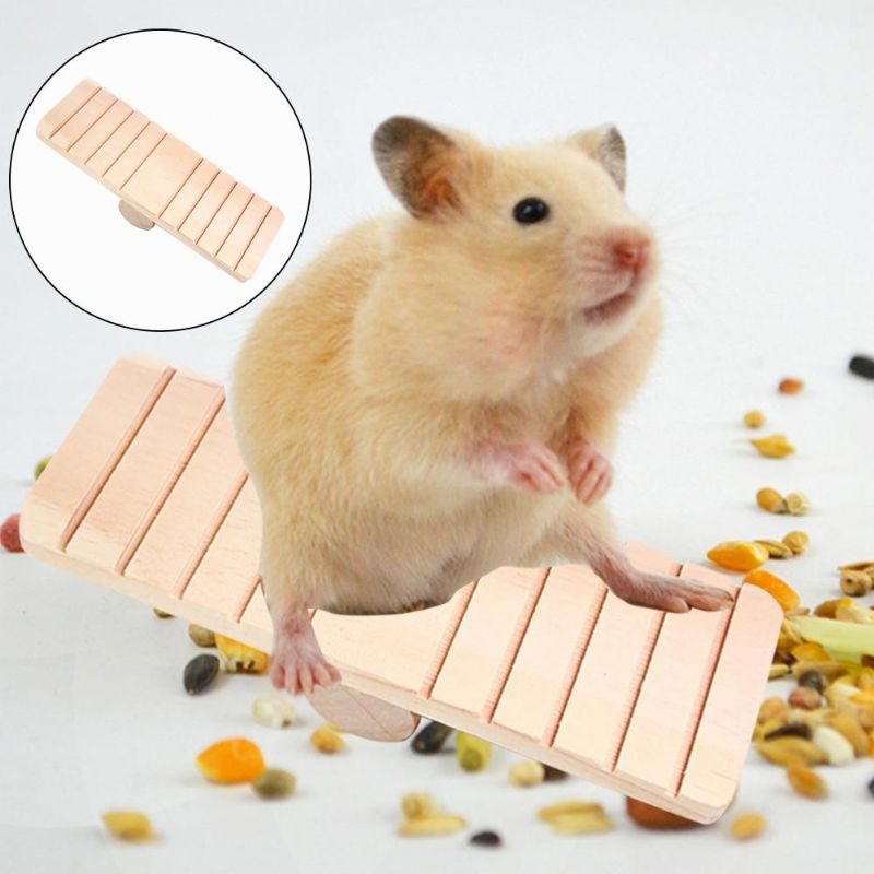 Hamsterin Kiitorata