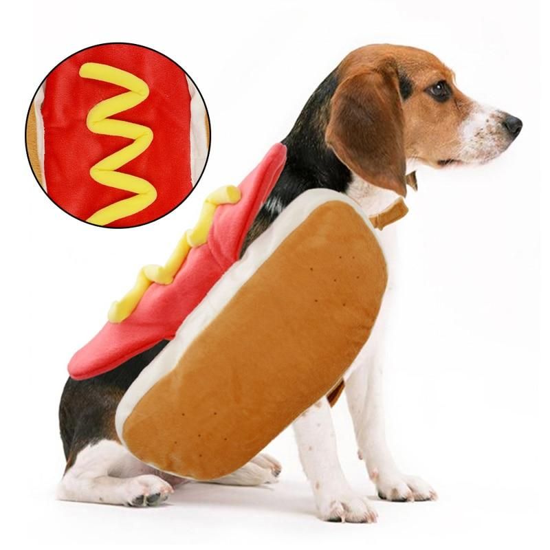 Hot Dog Pet Halloween -asu
