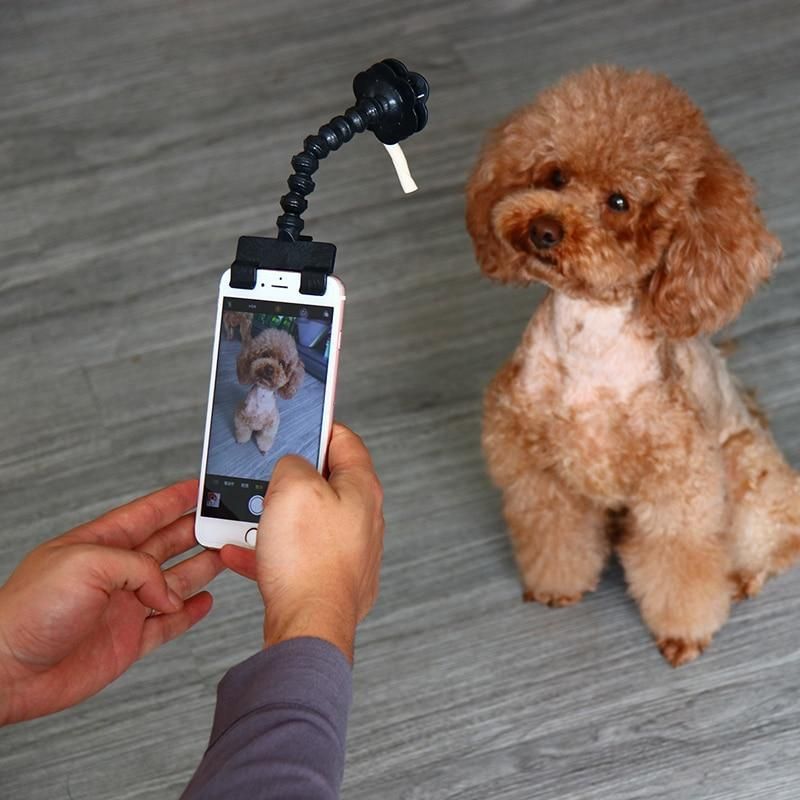 Lemmikkien Selfie-keppi