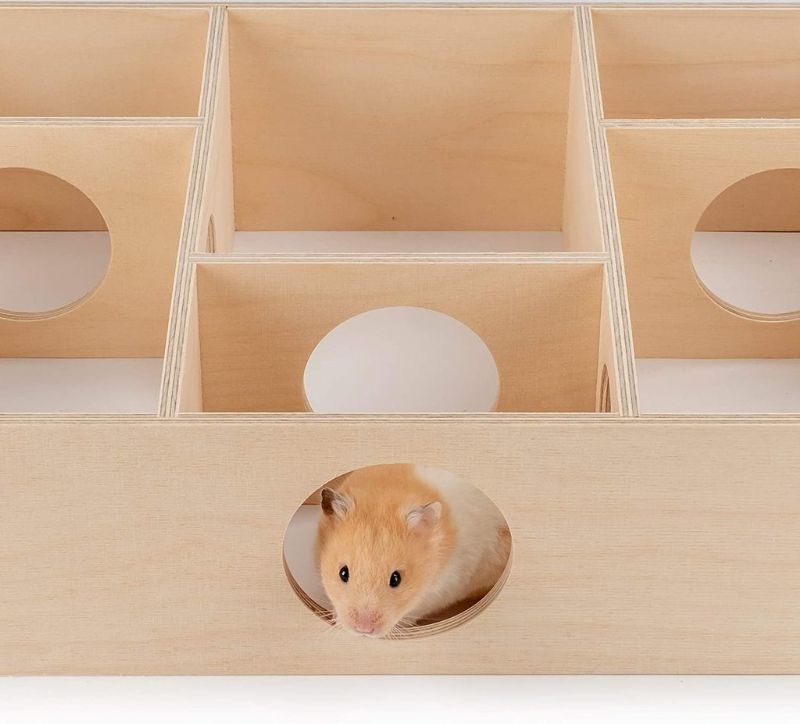 Monikammioinen Hamsteritalo